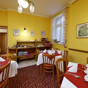 Boston Карловы Вары